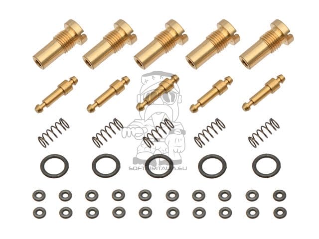Set di 5 valvole di riempimento gas di CGS