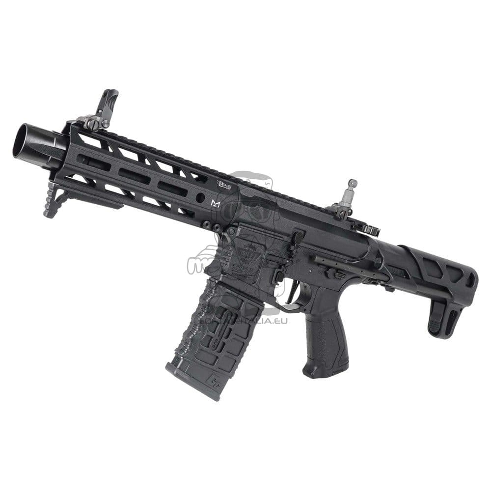 Fucile elettrico ARP556 2.0 nero di G&G