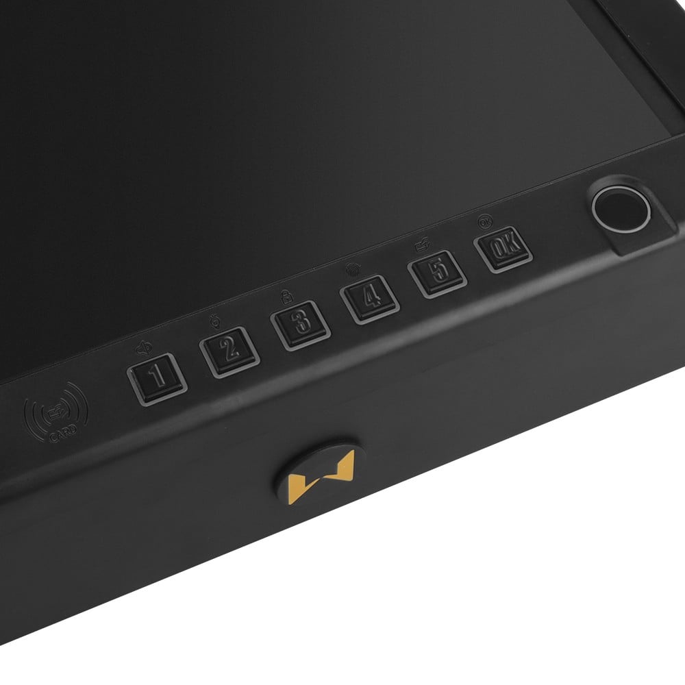 Cassetta di sicurezza smart multi-accesso di WOSPORT