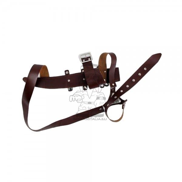 Spada fantasy ornamentale ispirata ad Assassin's Creed