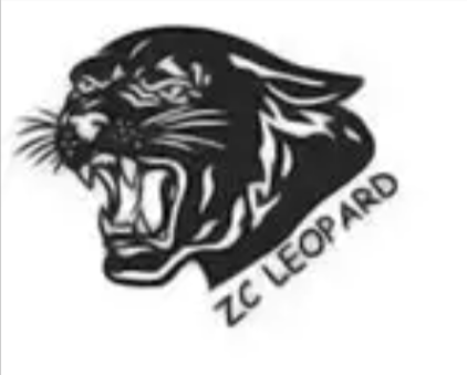 Logo produttore di ZCI