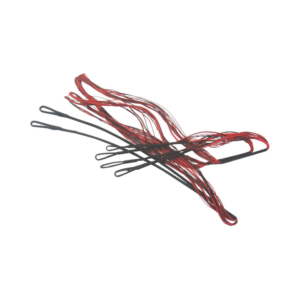 Cavo per arco Co 035